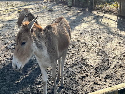 23-02-13 13-54-21 4204